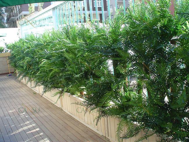 Çim Duvar, Dekoratif Çit, Çim Çit, Şimşir Duvar, Çiçekli Duvar, Bitki Duvar, Yapay Çim Duvar, Yapay Çim Çit